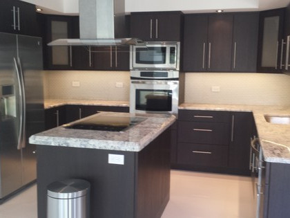 Modern dark cabinetry after kitchen remodel in Lake Worth