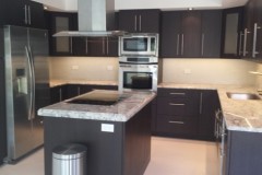 Modern dark cabinetry after kitchen remodel in Lake Worth