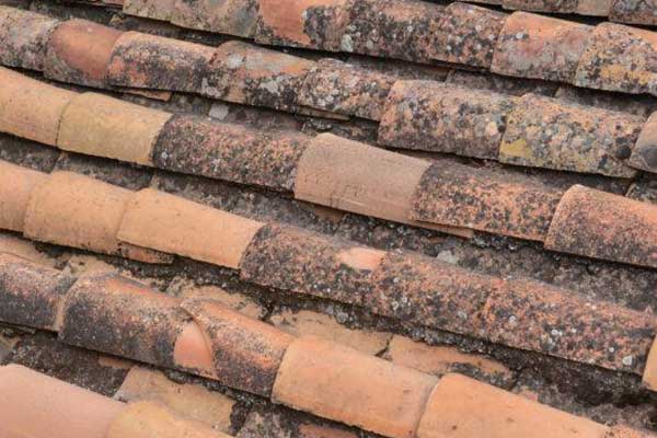 commercial-roof-replacement