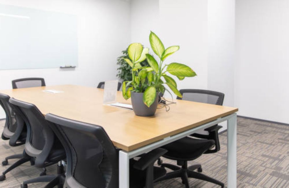 Design/Build Services Delray Beach